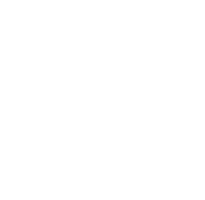 bg distribution logo light