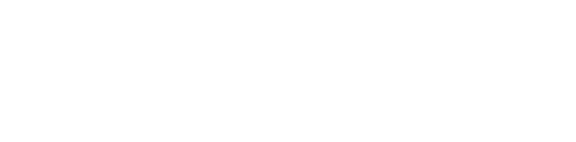 liteline logo light 1