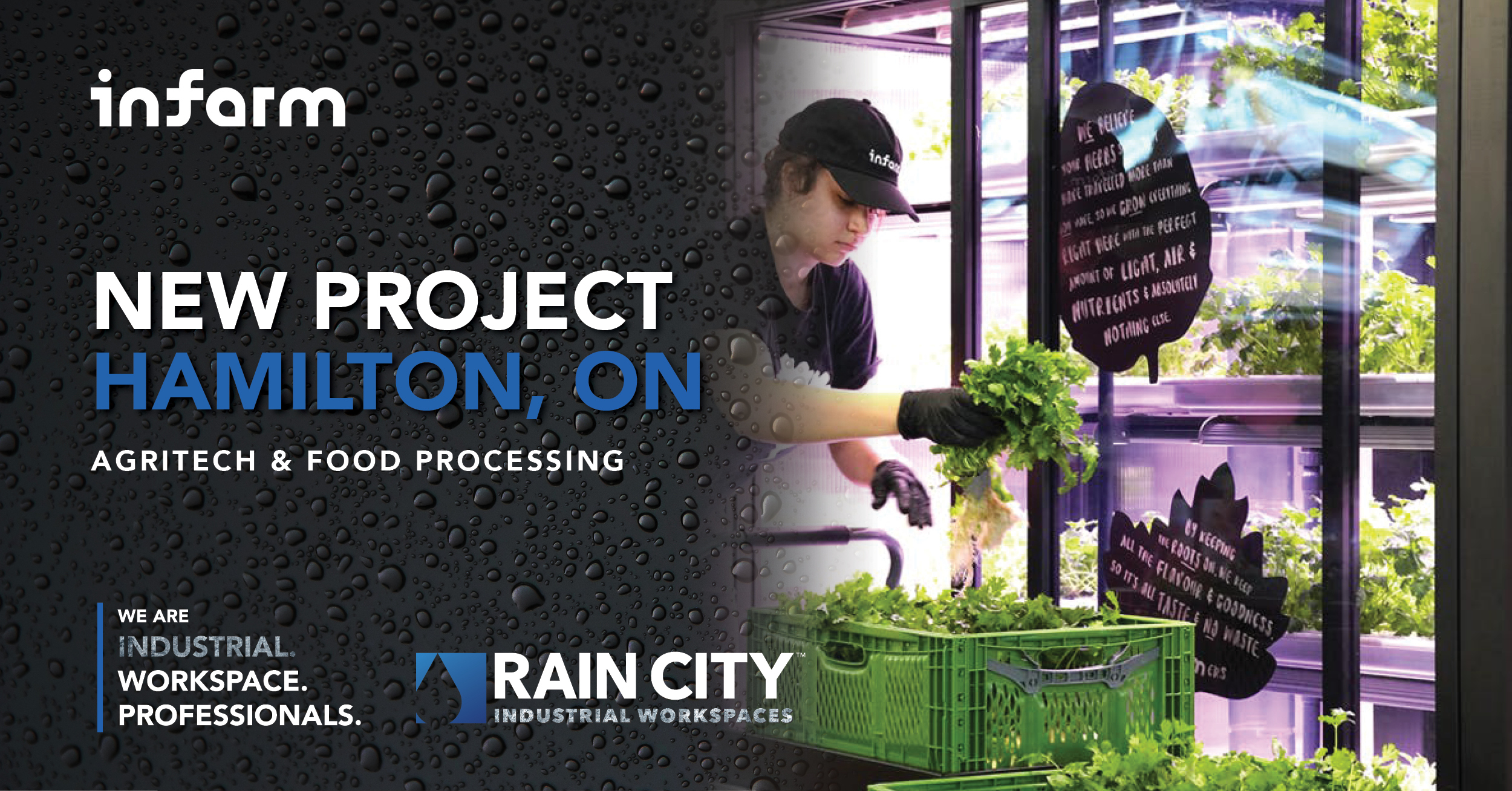 rain city corp linkedin infarm food processing agritech cold storage