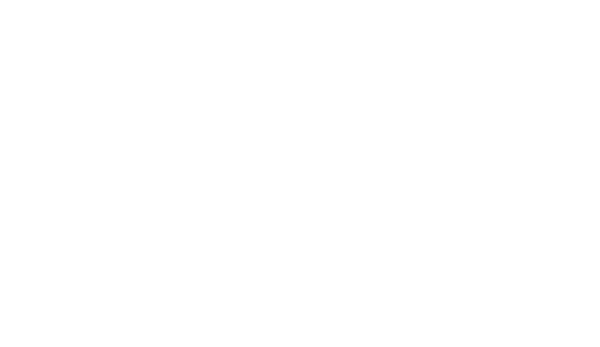 stans transmission logo light