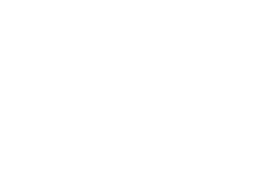 simpson strong tie logo light